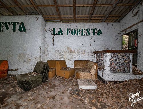 081 – LA FORESTA
